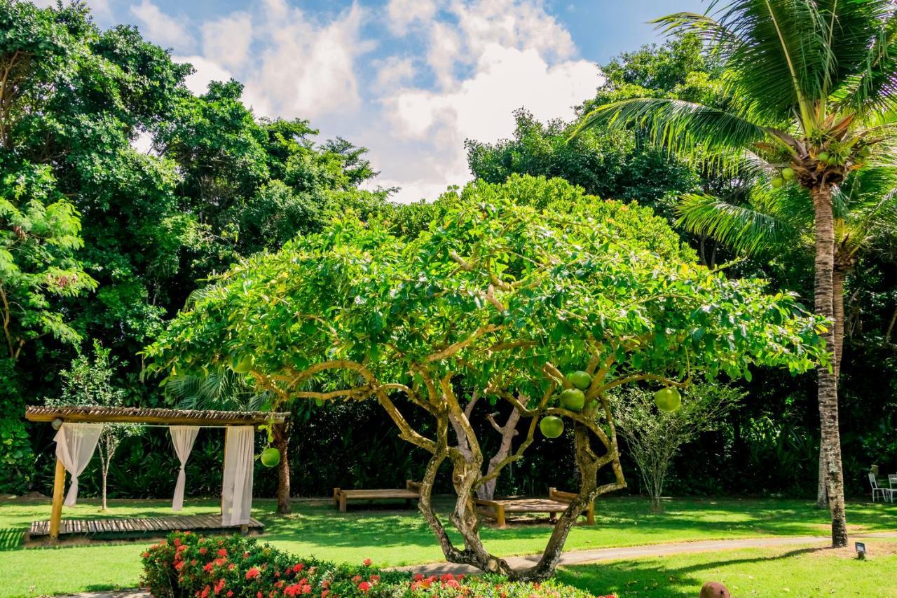 Bosque Do Porto Praia Hotel Porto Seguro Exterior foto